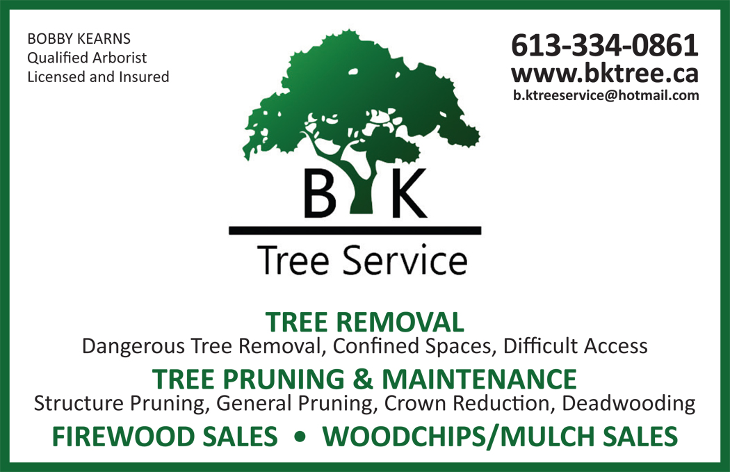 BK Tree Service